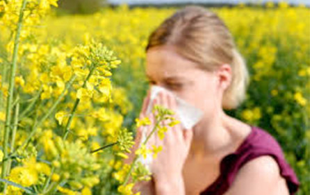 Spring Allergies